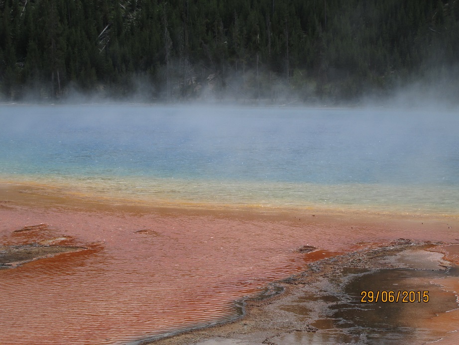 IMG_3141.jpg