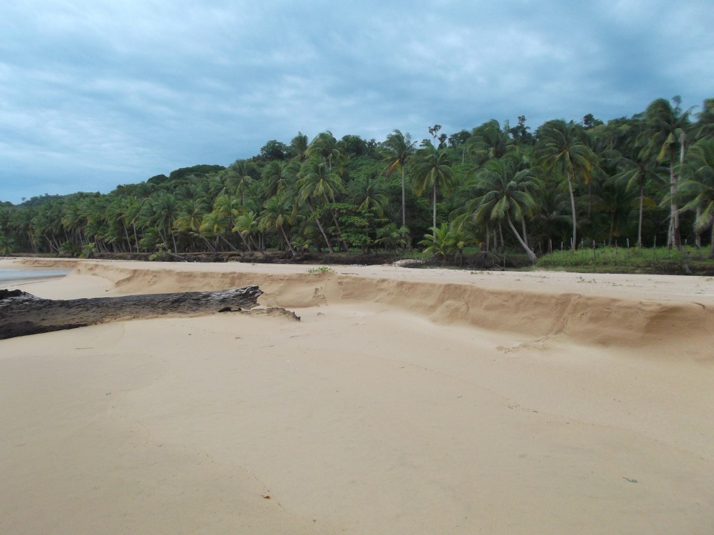 DSCF5408 (Medium).JPG