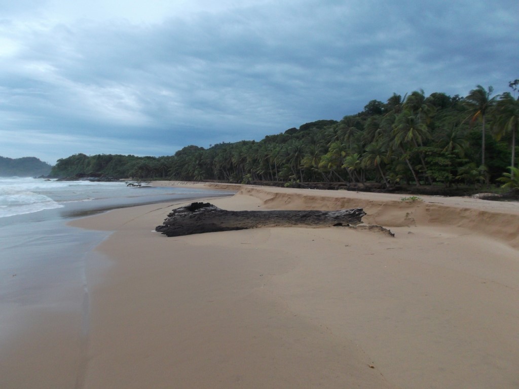 DSCF5407 (Medium).JPG