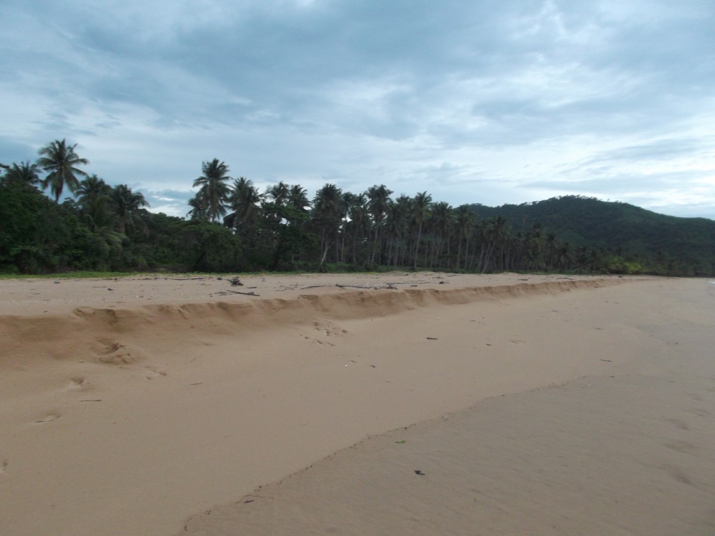 DSCF5409 (Medium).JPG