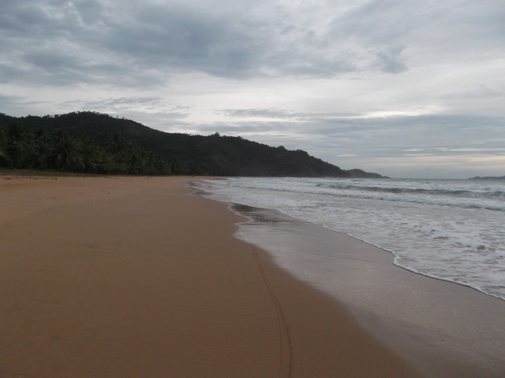 DSCF5406 (Medium).JPG