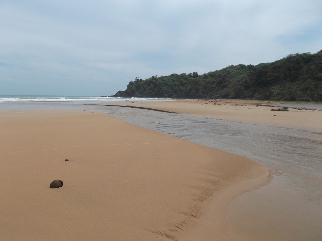 DSCF5460 (Medium).JPG