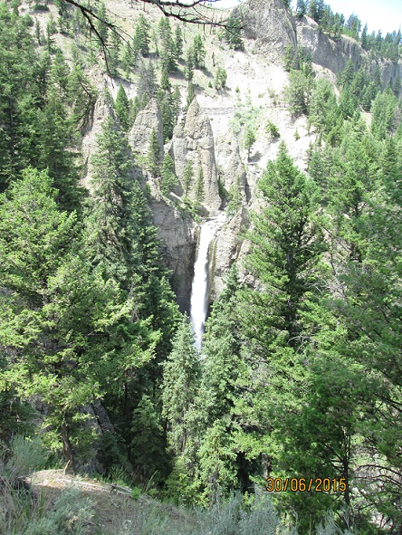 IMG_3252.jpg