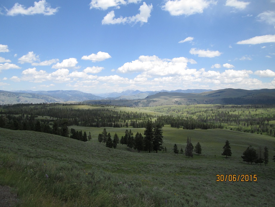 IMG_3258.jpg
