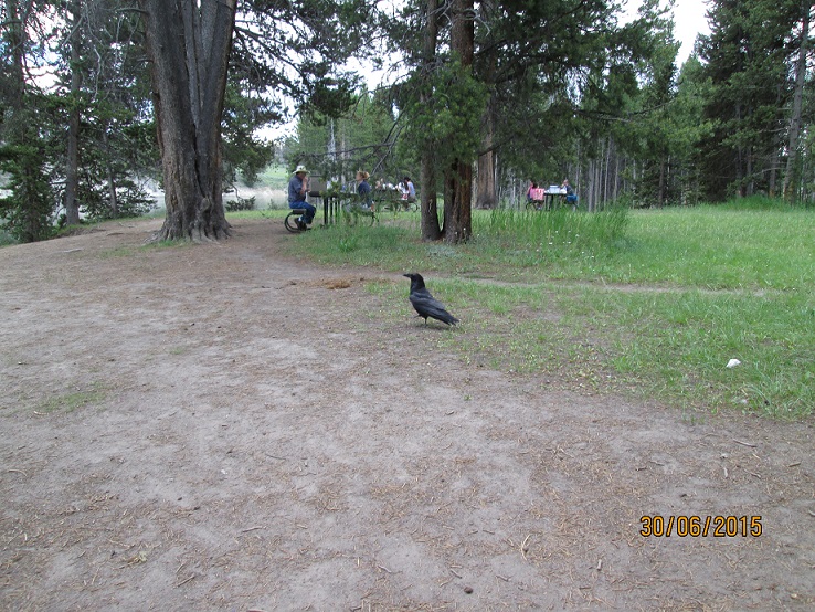 IMG_3286.jpg