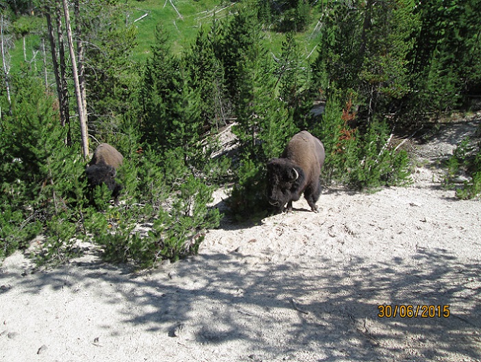IMG_3326.jpg