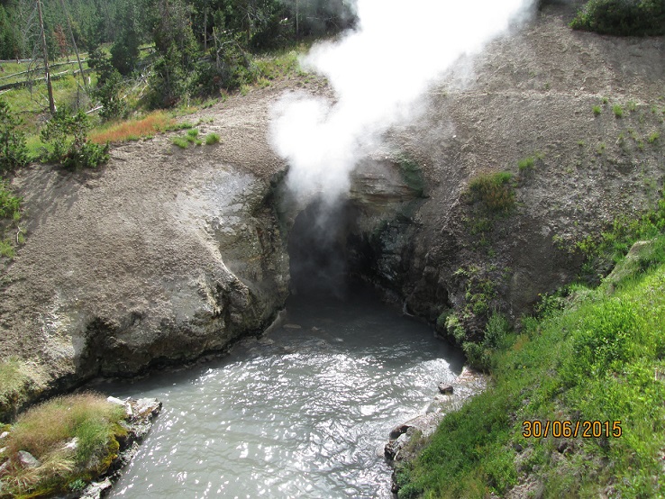 IMG_3337.jpg