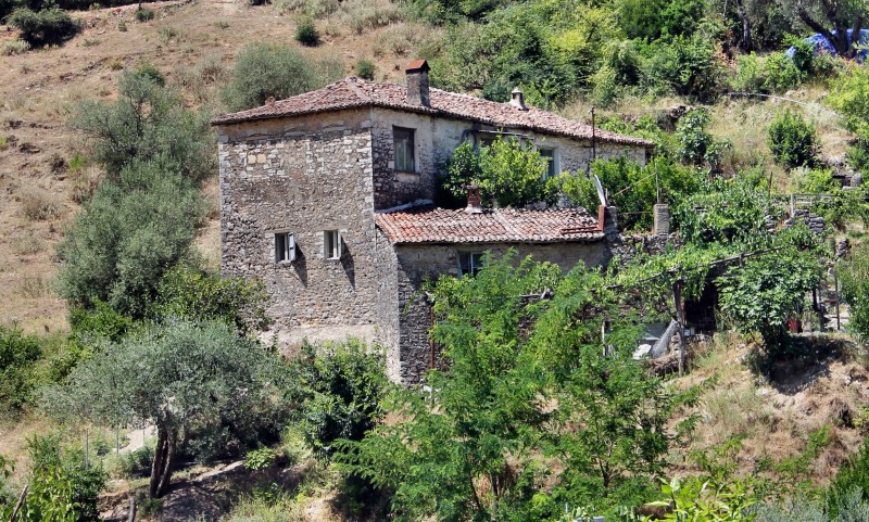 IMG_6946.JPG