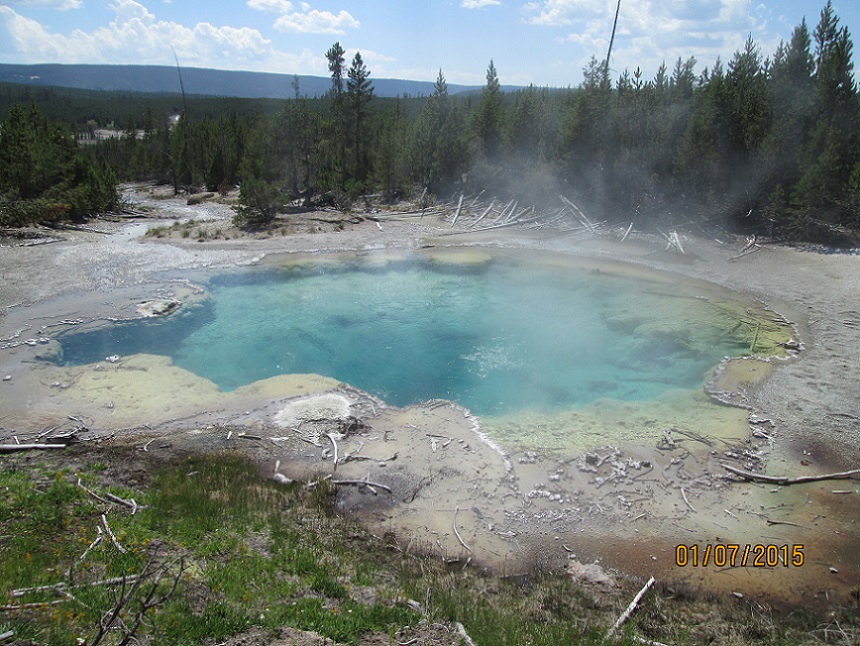 IMG_3515.jpg