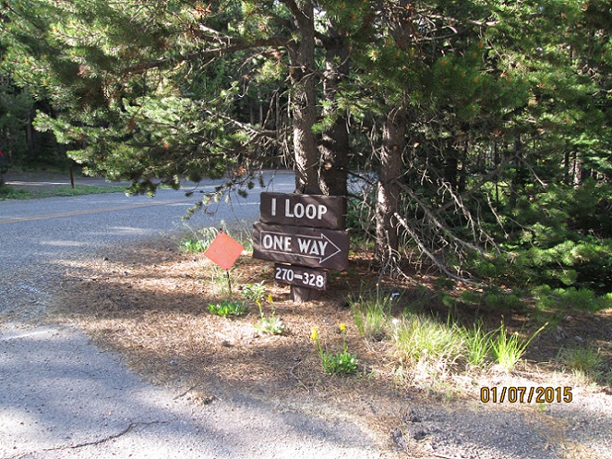 IMG_3559.jpg