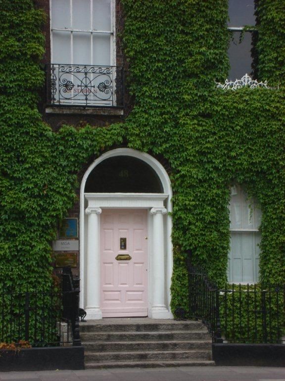 DSC00091.jpg
