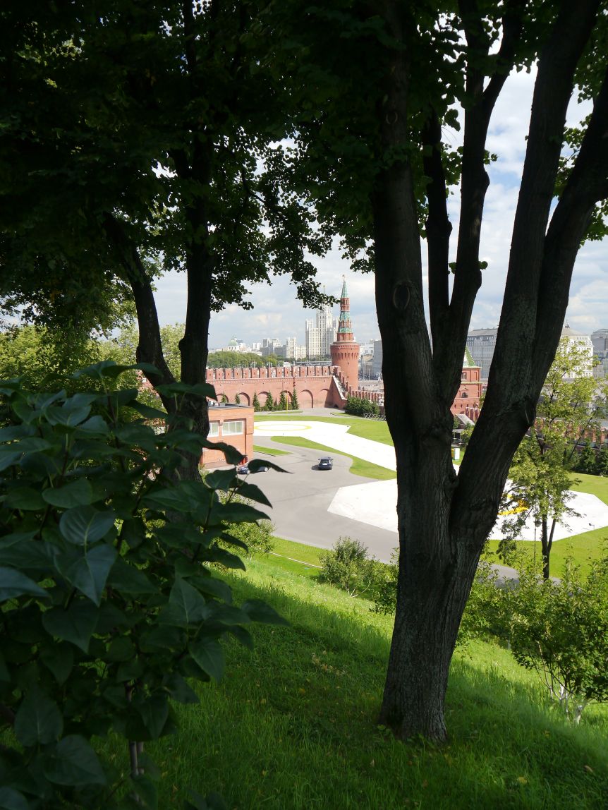 P1070537.jpg