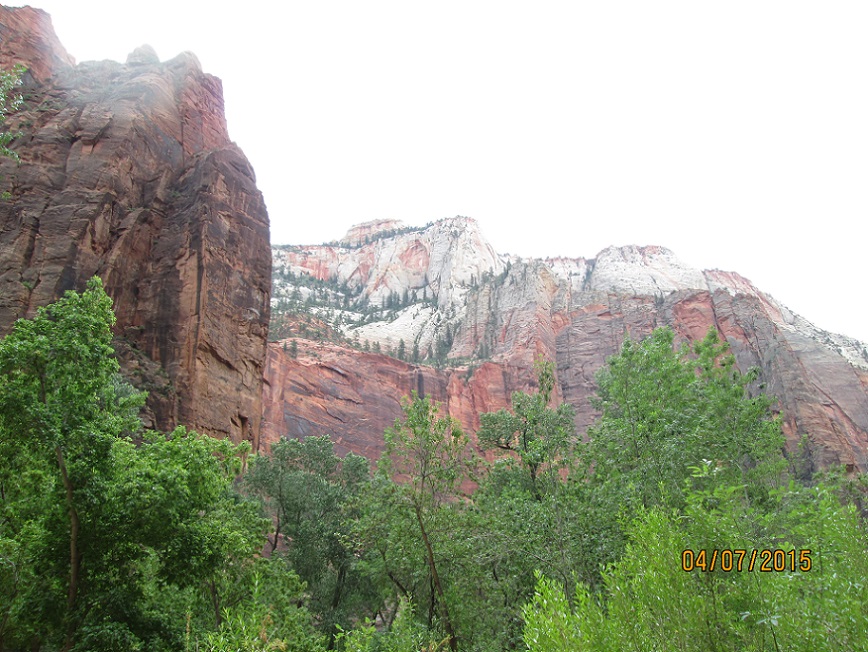 IMG_3853.jpg