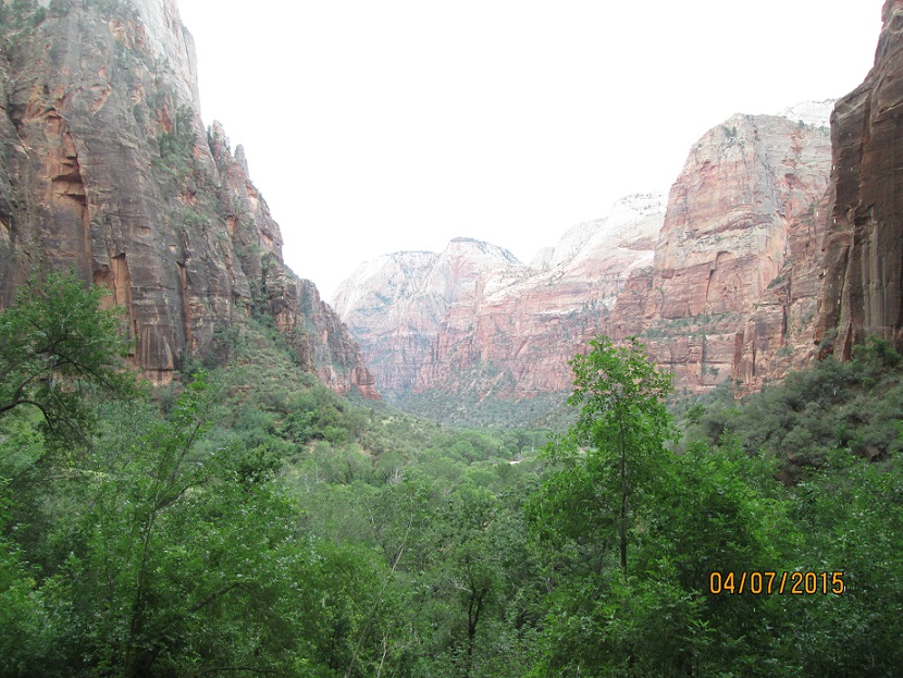 IMG_3860.jpg