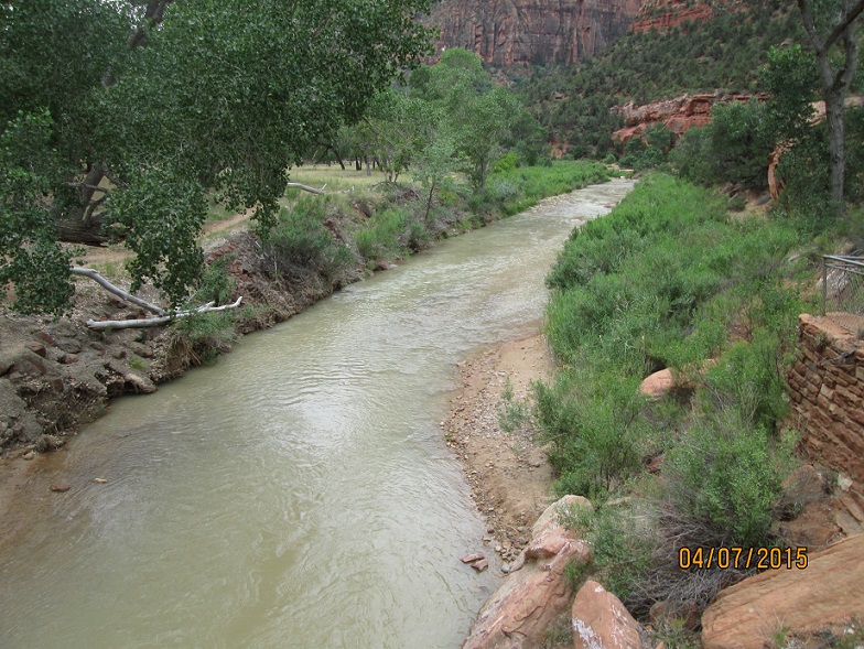 IMG_3895.jpg