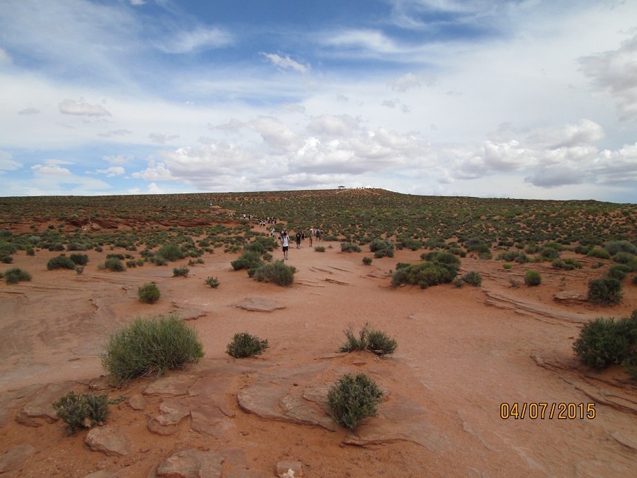 IMG_3928.jpg