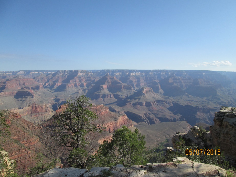 IMG_3952.jpg