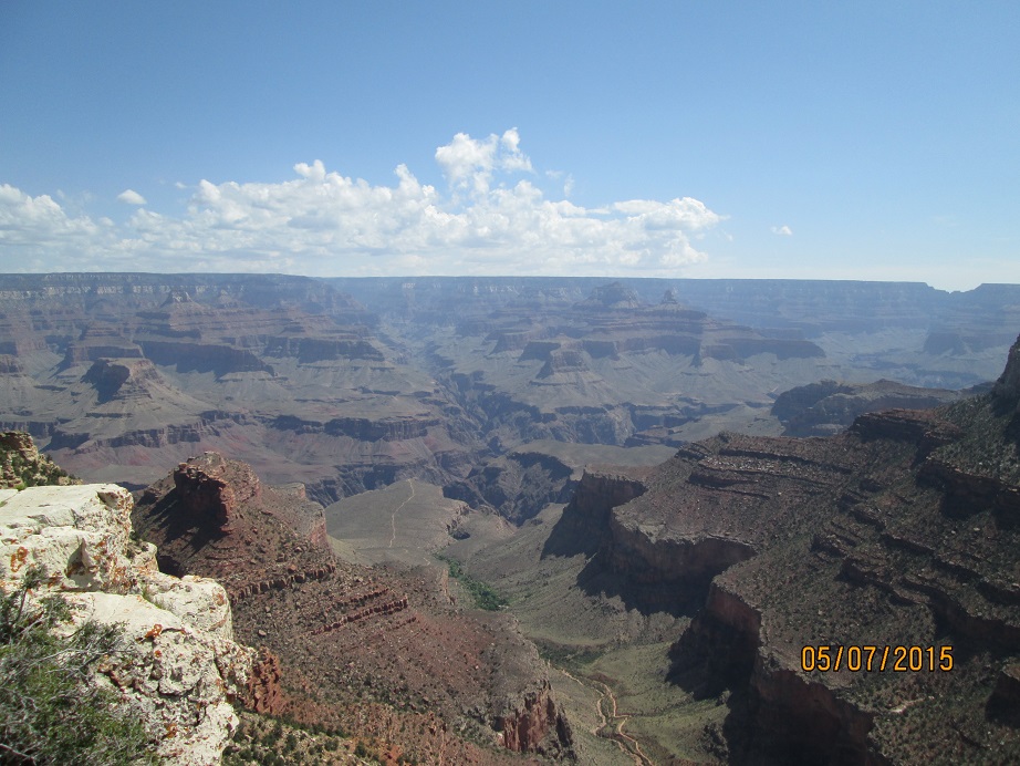 IMG_3972.jpg