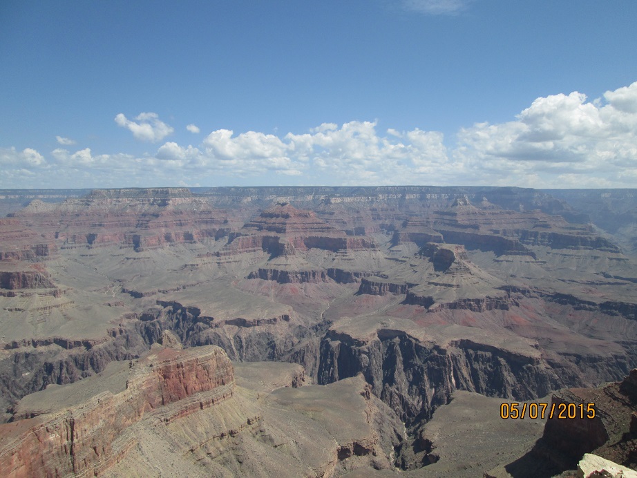 IMG_3975.jpg