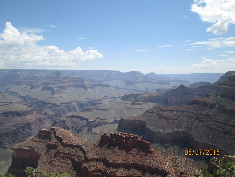 IMG_3983.jpg