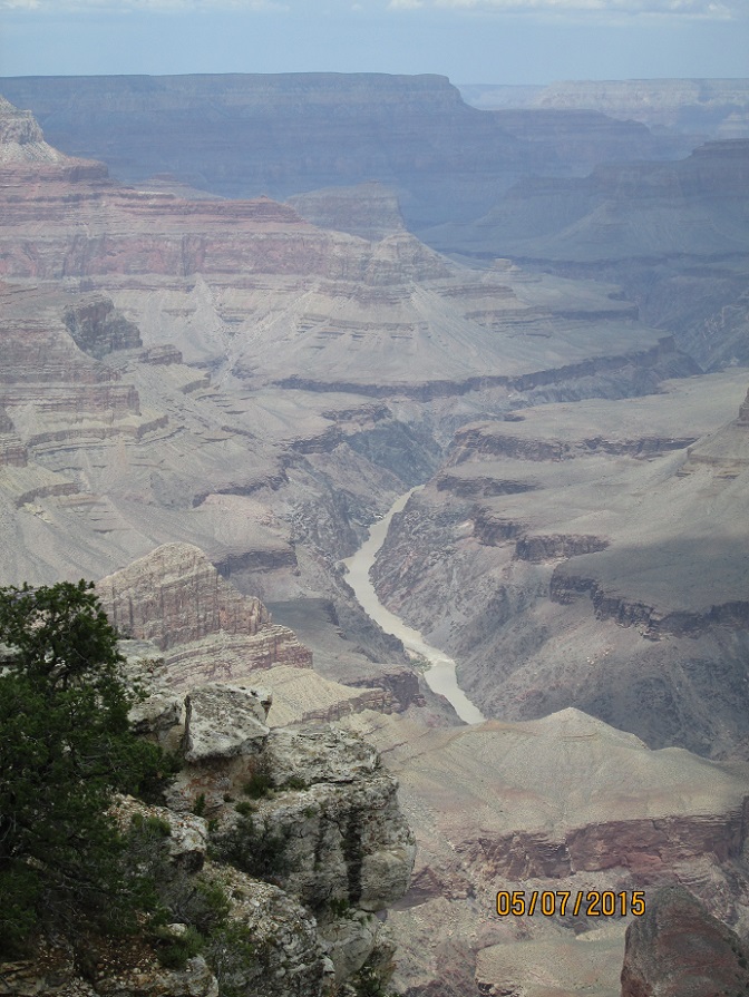 IMG_4011.jpg