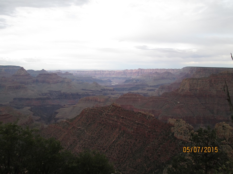 IMG_4042.jpg