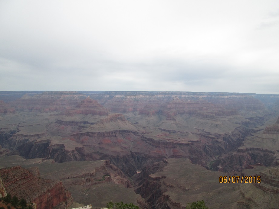 IMG_4071.jpg