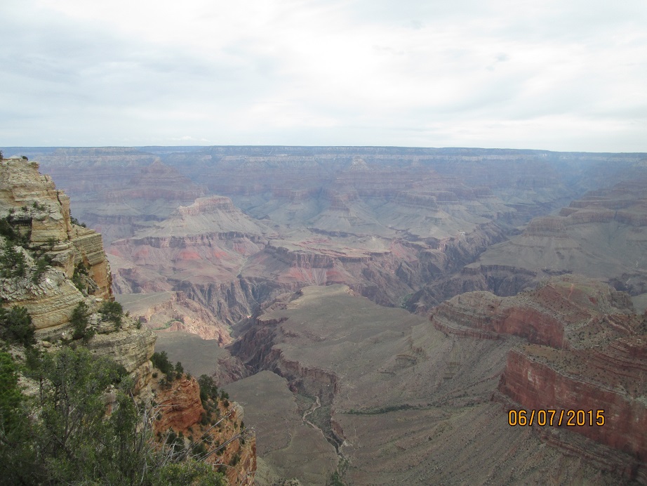 IMG_4081.jpg