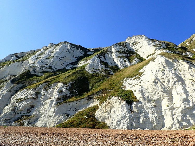 8a.jpg