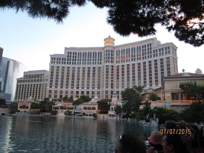 IMG_4228.jpg
