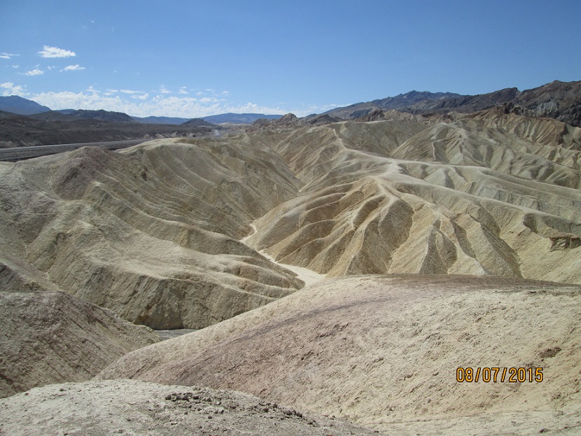 IMG_4309.jpg