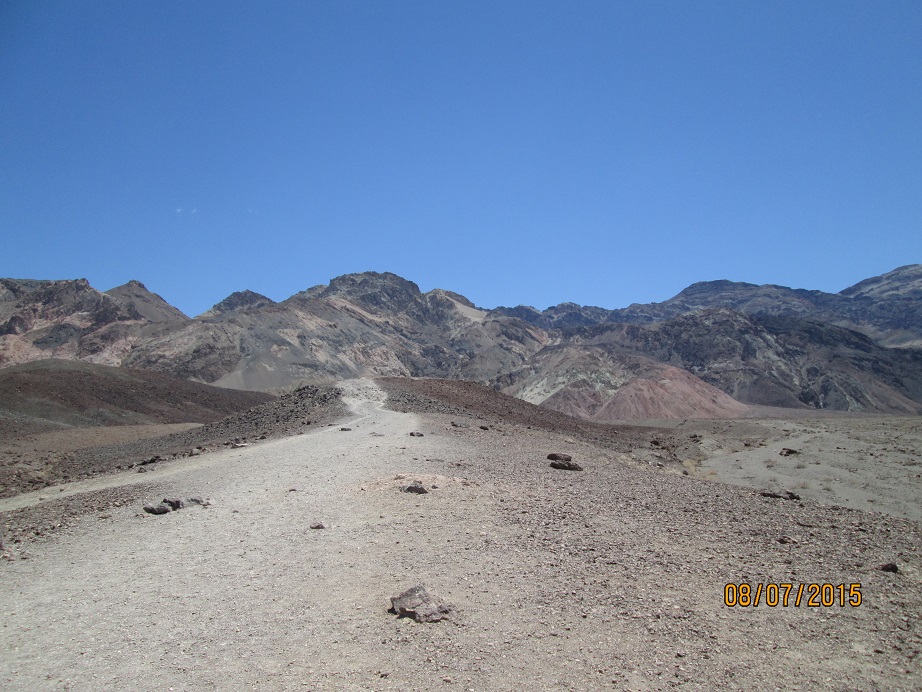 IMG_4345.jpg