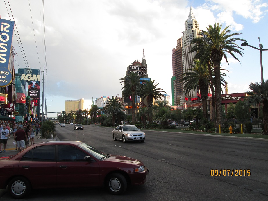 IMG_4445.jpg