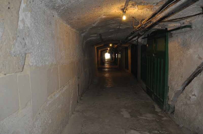 51_Lascalis_01.JPG