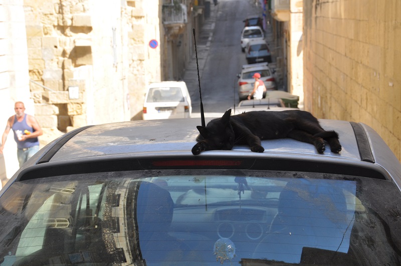 57_Valetta_01.JPG
