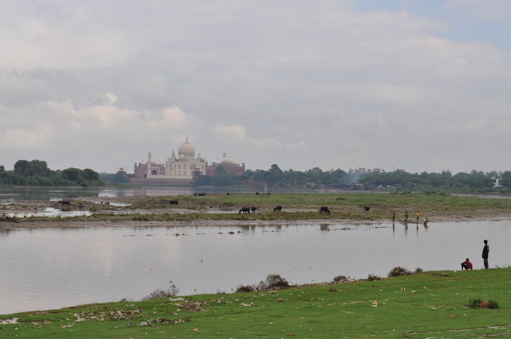 DSC_0326.JPG
