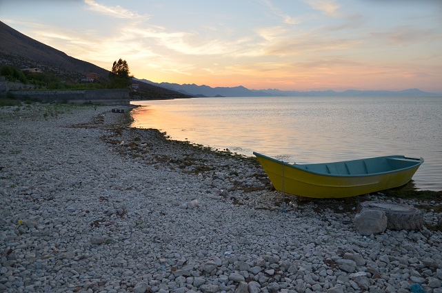 DSC_1370.JPG