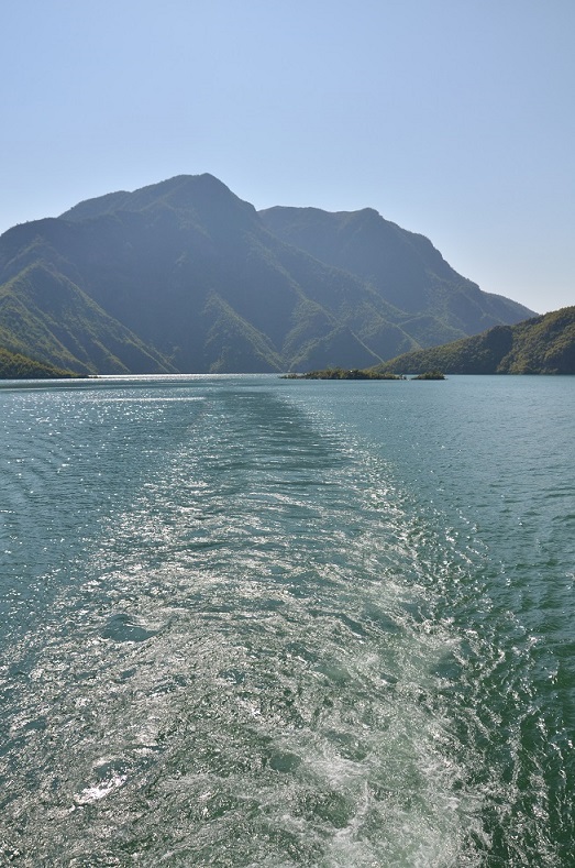 DSC_1524.JPG