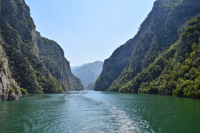 DSC_1554.JPG