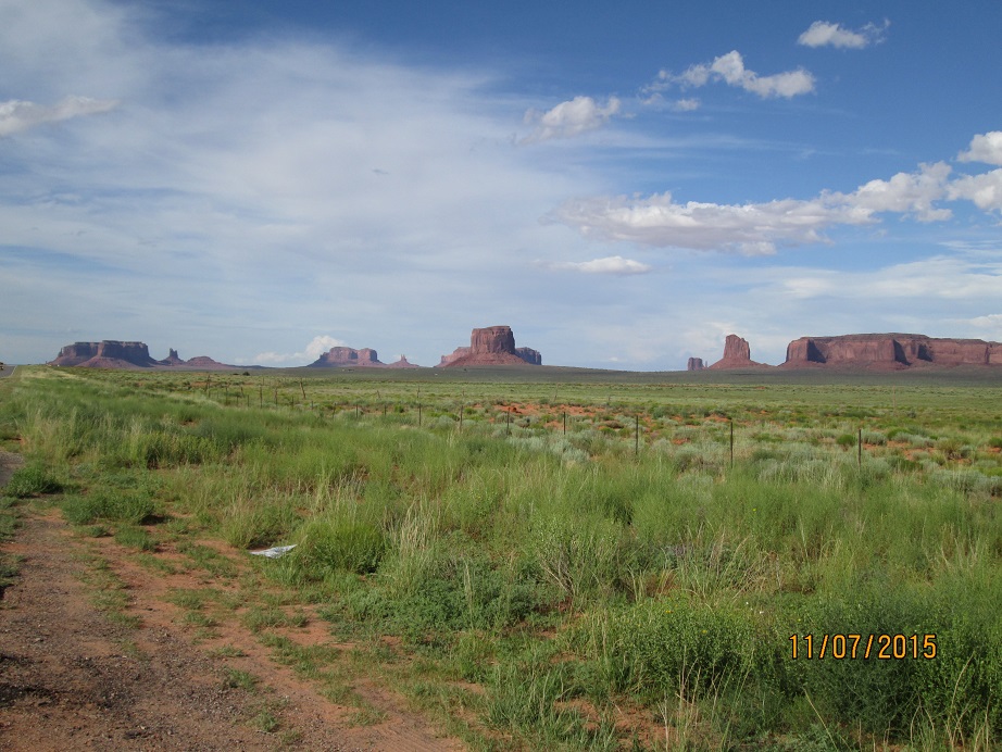 IMG_4686.jpg
