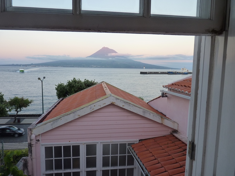 Horta_b&b Morrison5.JPG