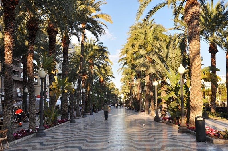 010 02.03 Alicante.jpg