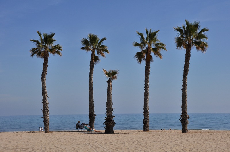 017 03.03 Alicante.JPG