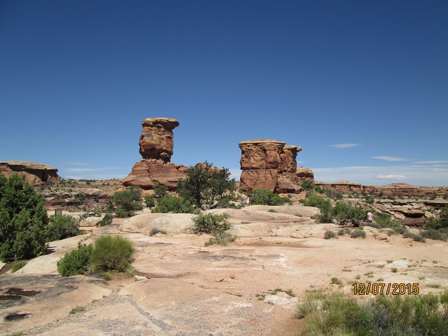 IMG_4773.jpg