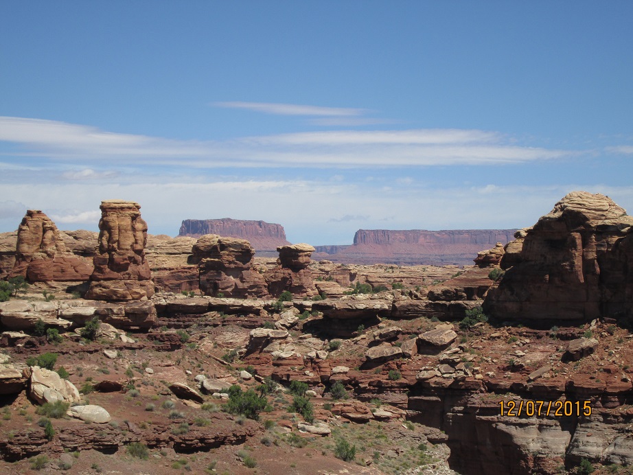 IMG_4782.jpg