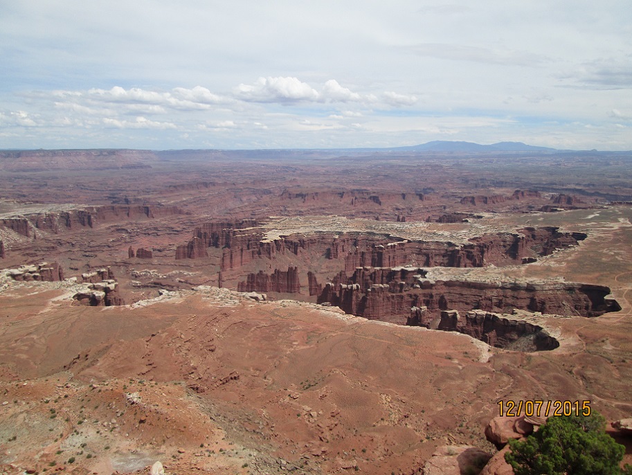 IMG_4822.jpg