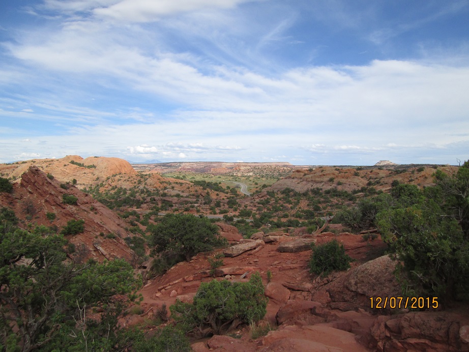 IMG_4855.jpg