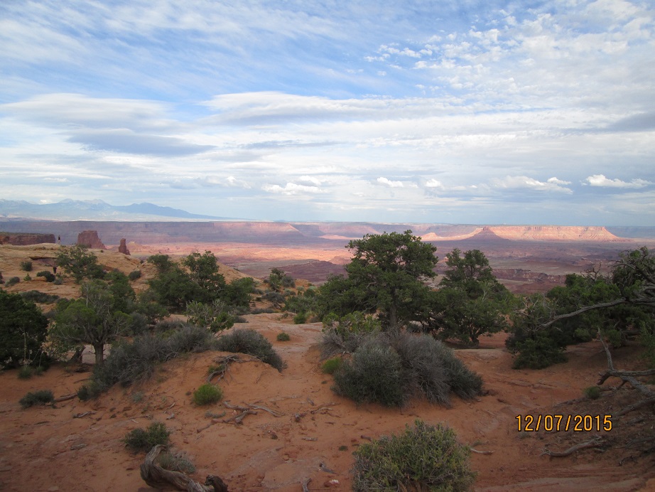 IMG_4884.jpg