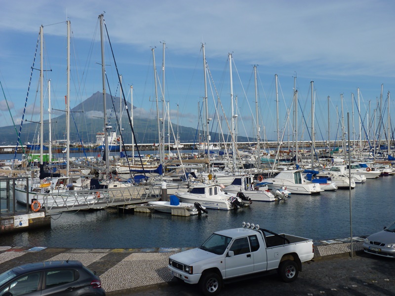 Horta_marina1.JPG
