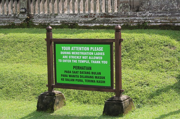 29.JPG